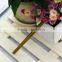 Koocu Copper Colour straight Tweezer