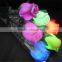 fashion plastic rose lighted up changing color rose
