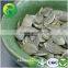 GWS Pumpkin Kernels raw cashew nut wholesale