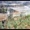 Economy Anti-bird Nets For Crop Protection
