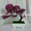 Small artificial plant for Home, Office and Decoration Christmas Holiday