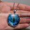 DIY Handmade Jewelry-- Art Picture Blue Cat Eye photo glass dome pendant necklace Necklace Pendant