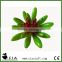 Artificial Baby Succulent Plant in Green with Red Heart for Bonsai