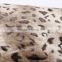 Super soft printed leopard fur +Non-woven Fabric Heating overblankets