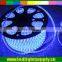 high voltage buttom price waterproof 3014 blue color flexible smd led strip