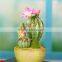 Christmas Ornaments office table decoration office decoration , fake plants