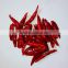 Chaotian chili 10kg vacuum bag per carton with high quality from China for sale