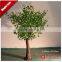 Chrismas outdoor decoration high artificial black trunk warm white light maple tree 2.0 Meter white leaf