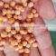 High protein floating fish feed pellet feed for fish