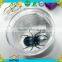 Made in China insect toy kindergarten furniture Educational Toys insect viewer magnifier