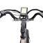 36V 11AH 250W/350W mid-drive china electric bike with 8FANG LCD display city e bike