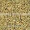 Cumin Seed