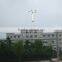 20m Landscape monopole tower(lamp)