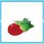 Plastic Dinner Plate ,Dinner Plates For Restaurant ,Lovely Decorative Dinner Dish