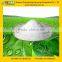 GMP Certified Manufacturer Supply High Quality Stevia Extract