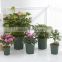 2017 indoor&outdoor flower pots and planters, planter pot 2 gallon