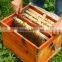 Australia beehive frame in bulk wholesale beekeeping tools plastic hive frame for export