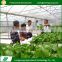 Customized design economical multi-span price of agricultural greenhouses