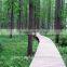 wpc china wood plastic decking made in China