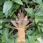 SJ041115 Boxwood fake topiary shaped Strawberry tree