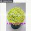 Varied artificial succulents wholesale artificial mini succulents potted