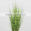 Wholesale artificial plants zebra onion grass in pot