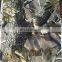 600D tree camouflage top-ended fabric