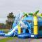 Cheap Jumping Castles Inflatable Water Slide Giant Inflatable Equipment