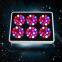 Cidly A6 LED grow light 210W Indoor garden led green house grow led light/plant growth promoter/full spectrum