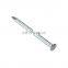 Hot dipped galvanized common nails