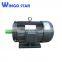 ip66 electric motor