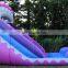 Pink Inflatable Princess Pool Slide Kids Backyard Water Slides For Sale