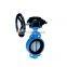 China Supplier Cast Iron ANSI ASME Lug Butterfly Valve With Price