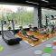 Custom Colors Recumbent Leg Press Machine