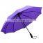 Amazon Hot Selling Portable Windproof Automatic Folding Umbrella