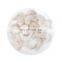 vannamei shrimp pd frozen shrimp pd white shrimp p&d peeled undeveined PUD