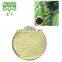 98% piperine black pepper extract powder
