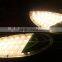 Hot solar prodcuts 30 watt solar lights fixture 12V DC