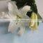 Alibaba china factory direct real touch latex flower lilies