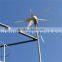 Wind turbine for home,Sell small windmill hybrid solar turbine,permanent magnet generator