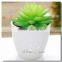 Pvc Material and Succulent Plants Plant Type Artificial Succulent Plants