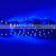 Black PCB LED strip 5050, 12V flexible light 60LED/m,SMD 300LED/5m/roll,White,White warm,Cold White,RGB
