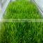 Farm Fodder Manufacturer-Sprouting machine
