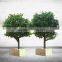 Large Artificial Ficus Tree