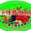 Customized Sticker Label Manufacturer Supply Sample Free