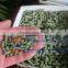 China professional manufacturer straw/leaves pellet mill grass pellet mills