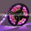 Color changing 5m/roll waterproof IP68 5V 5050 RGB led flexible strip