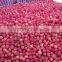 Best Price China Red Fuji Apples