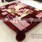 Manufactory walmart  china home textile china supplier plush animal pillow blanket