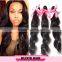 7A Russian Loose Wave Virgin Hair Human Hair Weave Brazilian Virgin Hair Bundles DHL Free Shipping